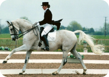 Beverley Brightman, International Dressage Rider