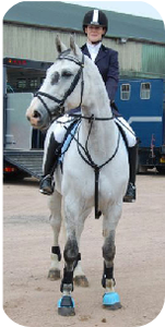 Kerry Browns horse when feeding Acceler>8